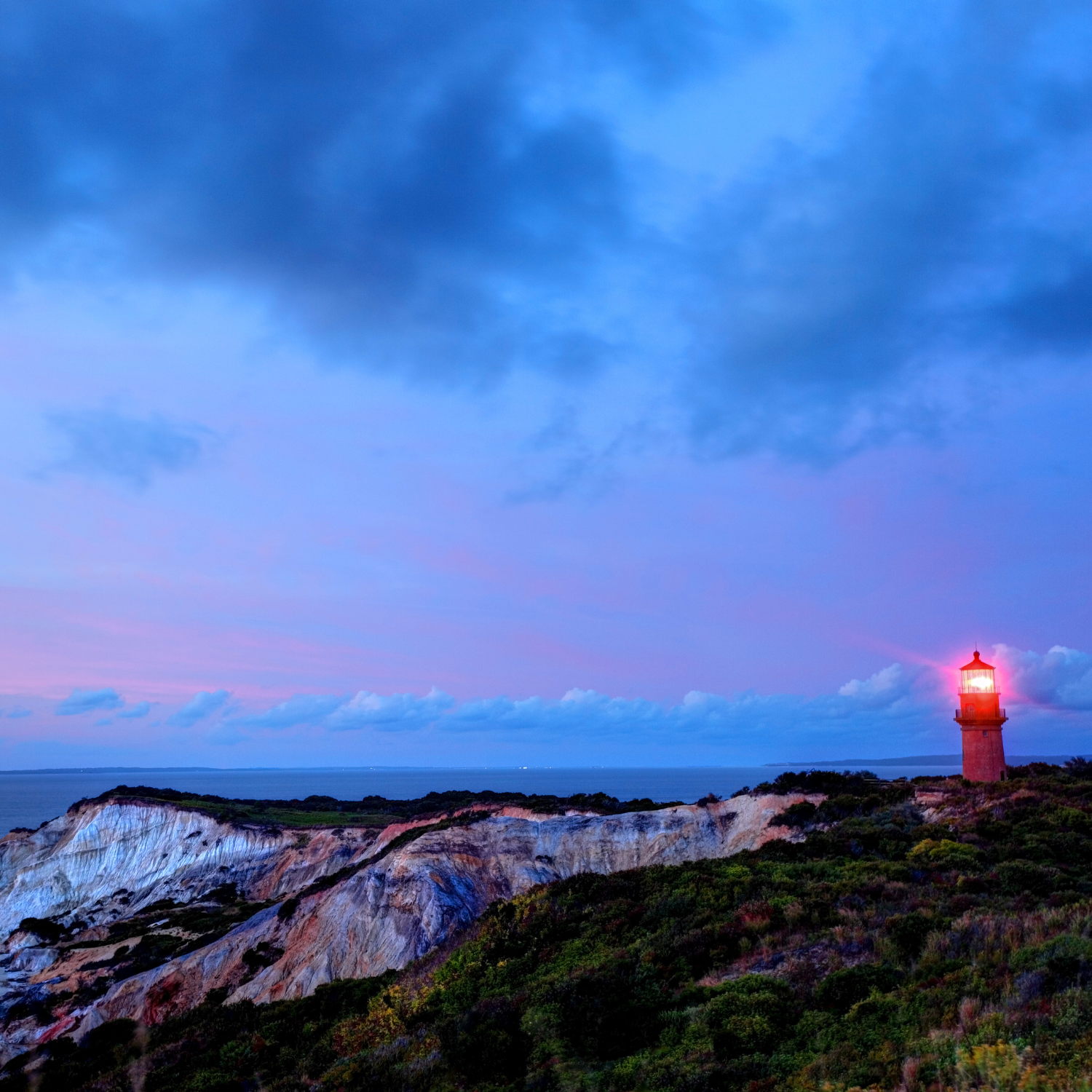 Highlights on the Vineyard
