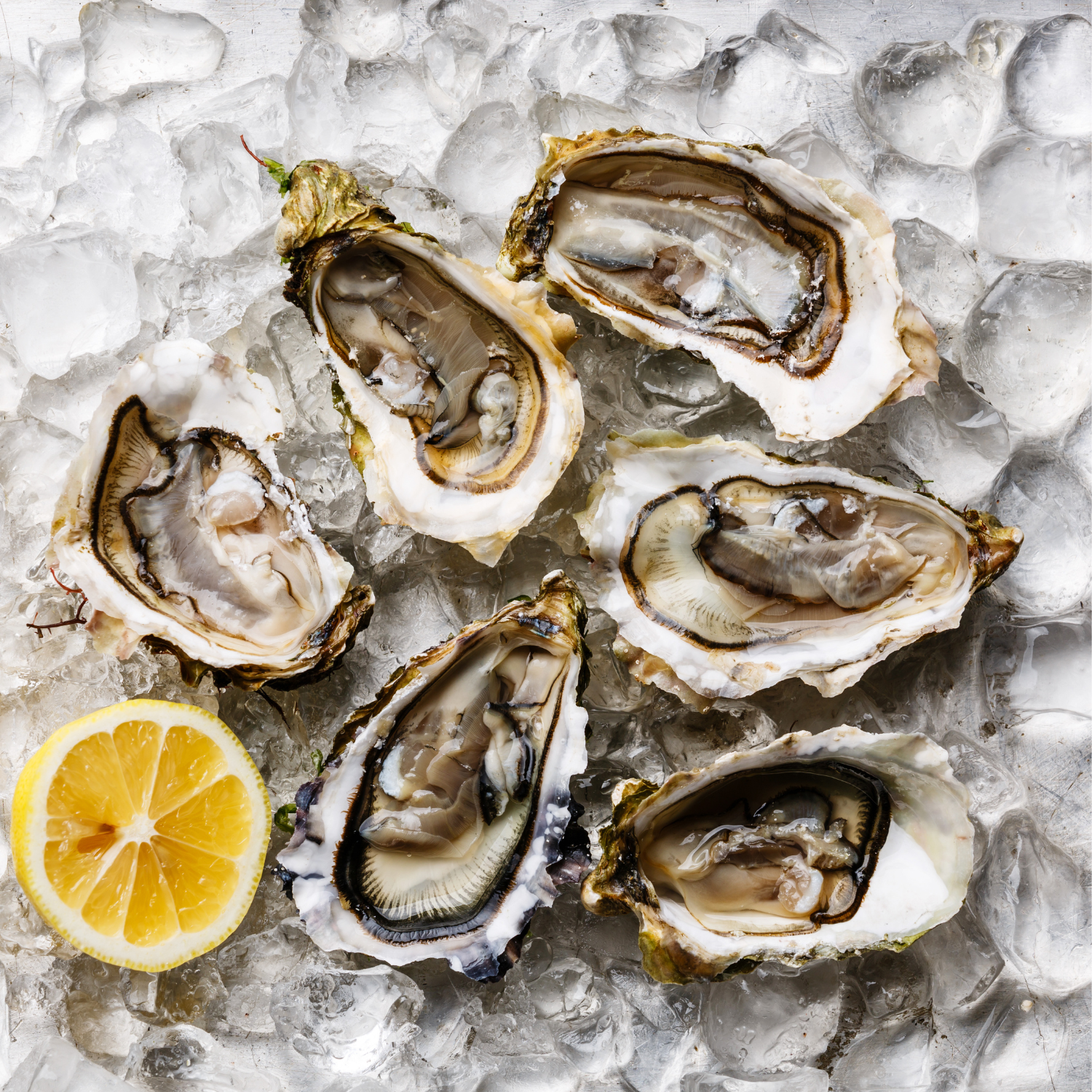 Best Places for Oysters on Martha's Vineyard