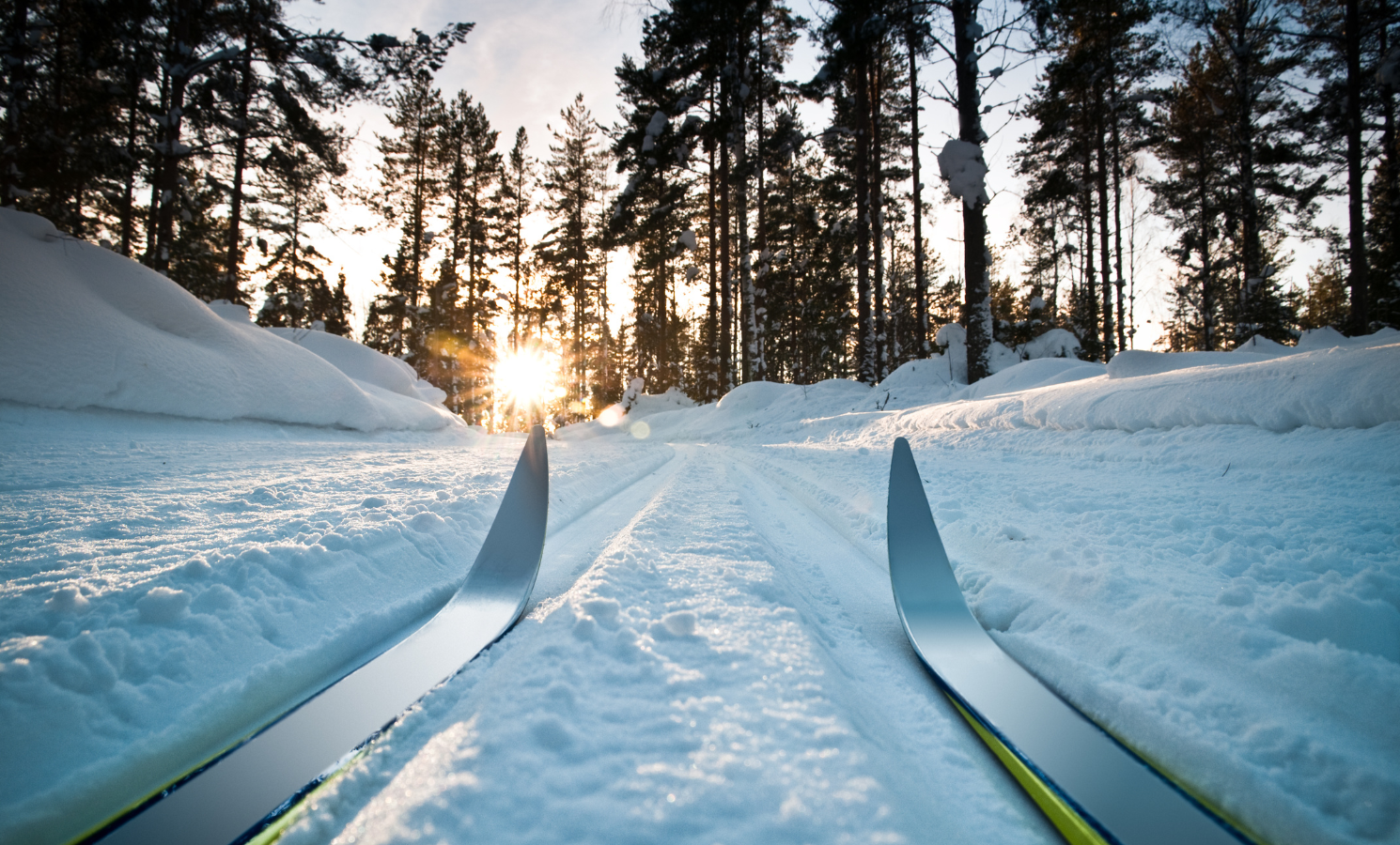 Close up of skis on a trail during sunset