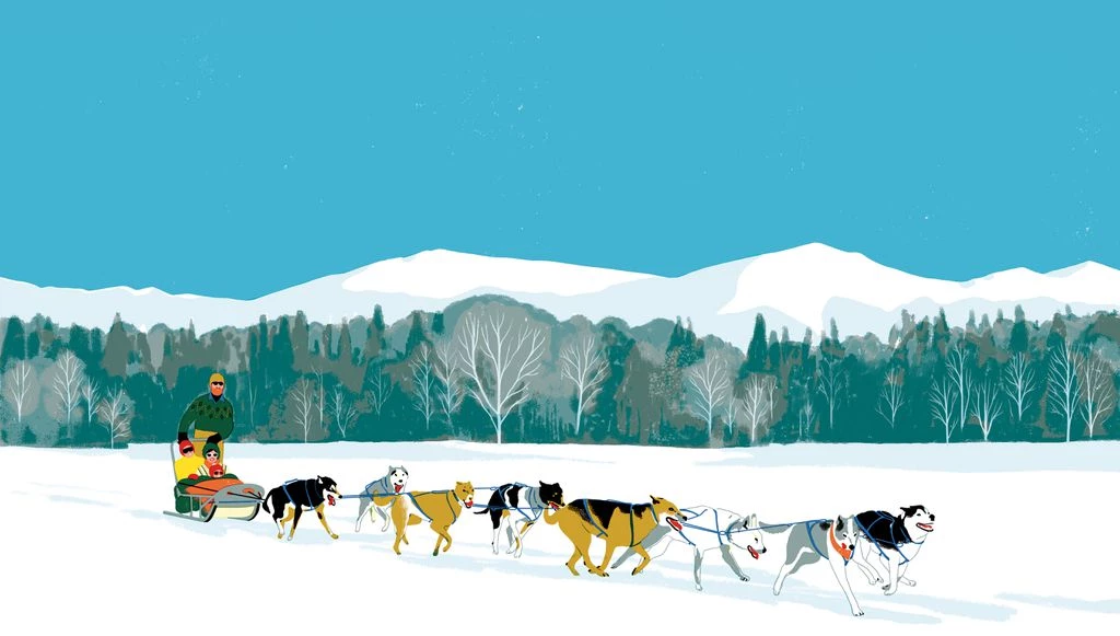 Drawing of dog sledding during the winter