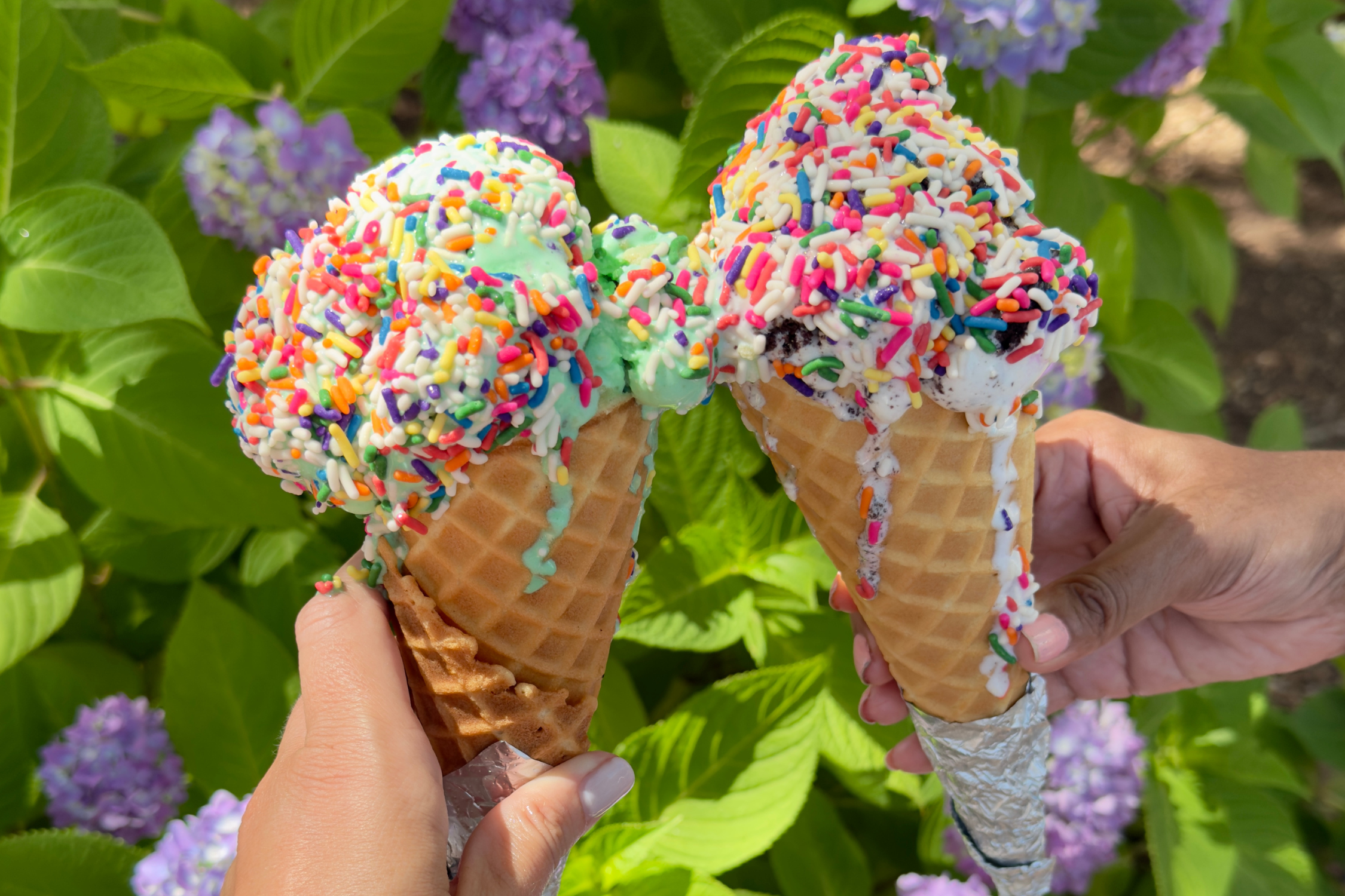 Two ice cream waffle cones with sprinkles in front of a hydrangea bush