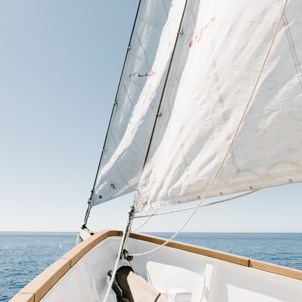 Untitled Design (89)