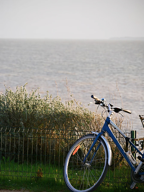Bicycle parked against a fence overlooking the ocean